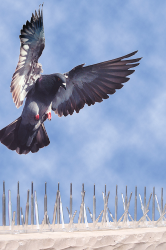 pinchos de plástico para aves