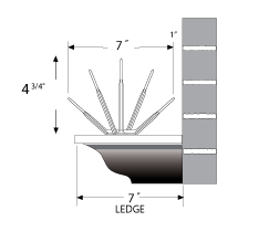 bird spike install