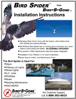 bird spider installation
