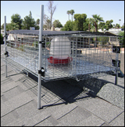 bird traps