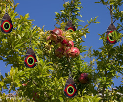 Bird Diverter bird diverter