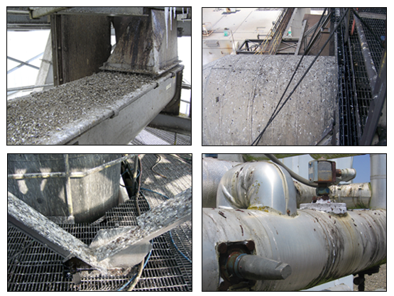 food processing