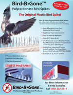 Plastic Bird Spikes