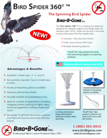 bird spider 360