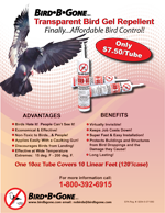Transparent Bird Gel Bird Deterrent