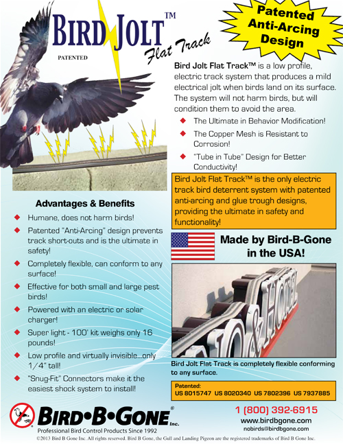 Bird Jolt Flat Tract