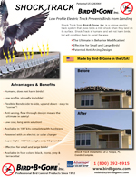 Shock Track for Birds