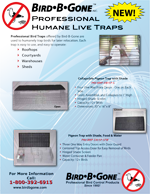 Humane Live Bird Traps