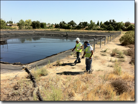 Pond bird netting