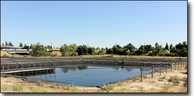 pond netting