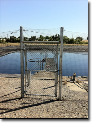 Pond bird netting