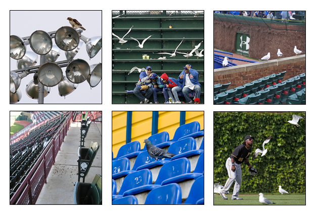 stadiums