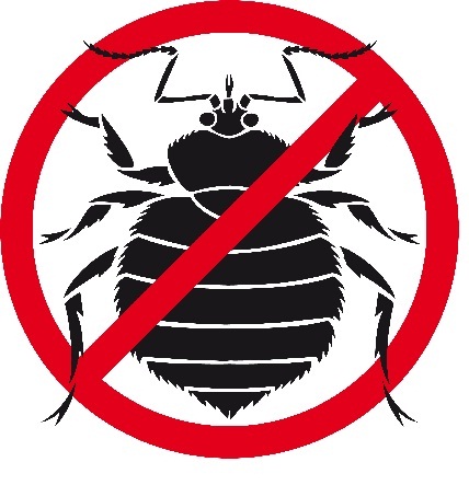 Bed Bugs and Birds
