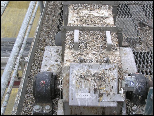 Bird Control for Facility Managers