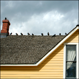 roofing