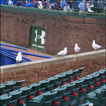 stadiums