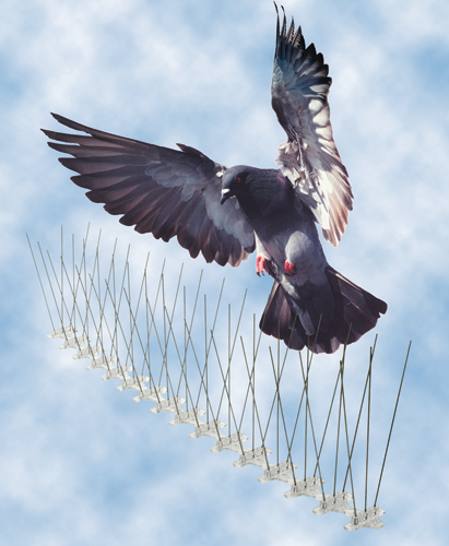 mega bird spikes