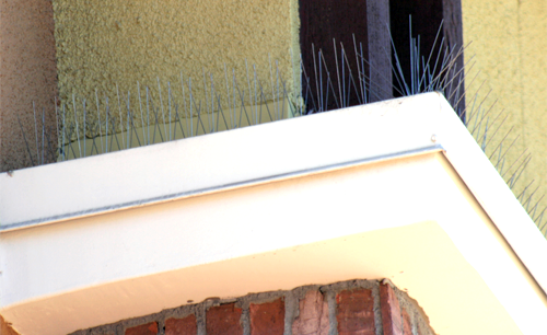 mega spikes installed