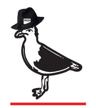 birdbgone in the press
