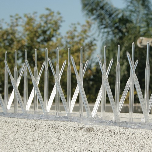 Plastic Bird Spikes Bird Spikes Plastic Bird B Gone Plastic Bird Spikes Bird Spikes Plastic Bird B Gone