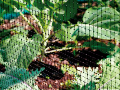 Tree Netting Ireland garden netting garden mesh tree netting bird b Tree Netting Ireland garden netting garden mesh tree netting bird b