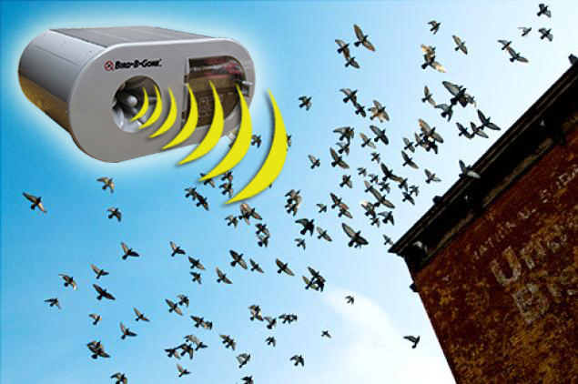 Scare Birds Away scare-birds-away