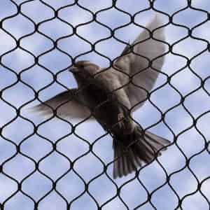 No-Knot Bird Netting VS Heavy Duty Bird Netting - Bird B Gone LLC