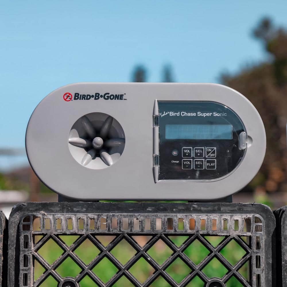 sound bird deterrents keep birds out of garden