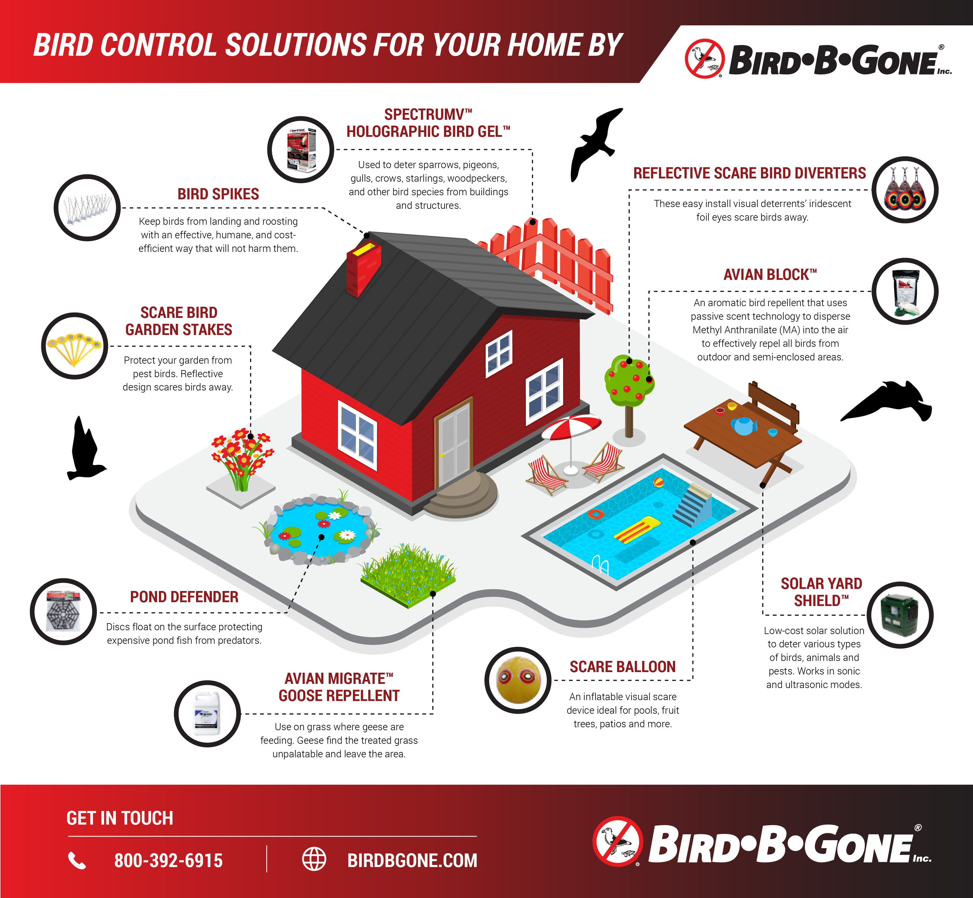 Bird control solutions for your home infographic