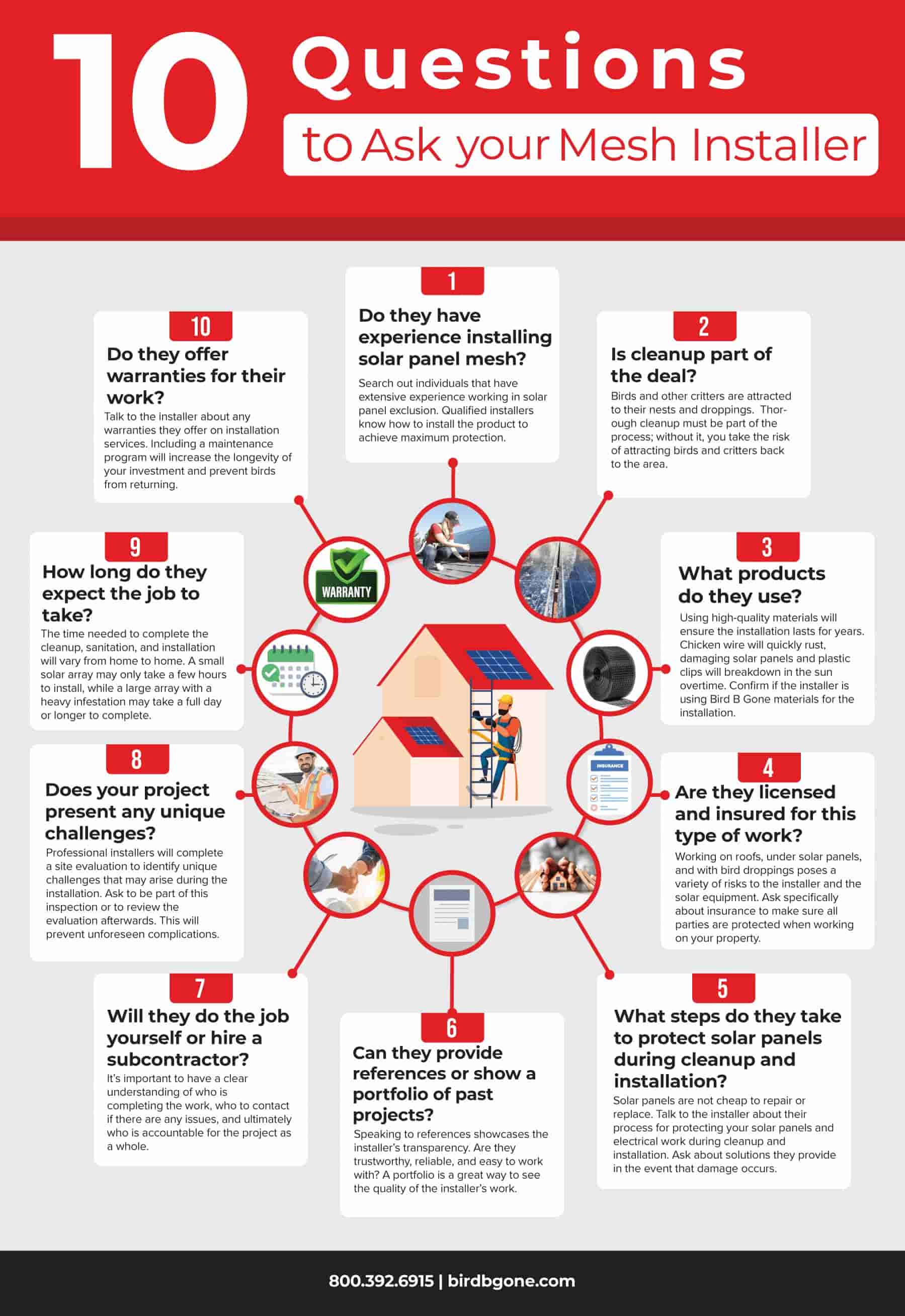 10 Questions to Ask Your Solar Panel Bird Deterrent Mesh Installer, infographic 