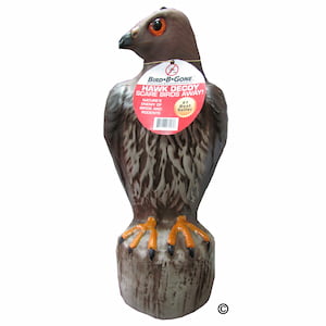 Bird B Gone Red Tailed Hawk Decoy RTH1