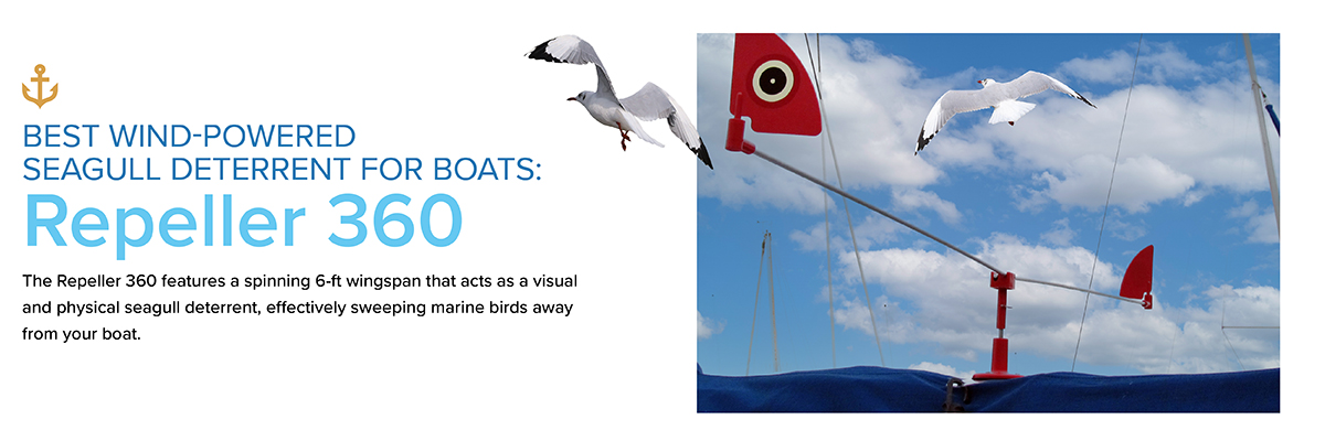 Seagull deterrent for boats