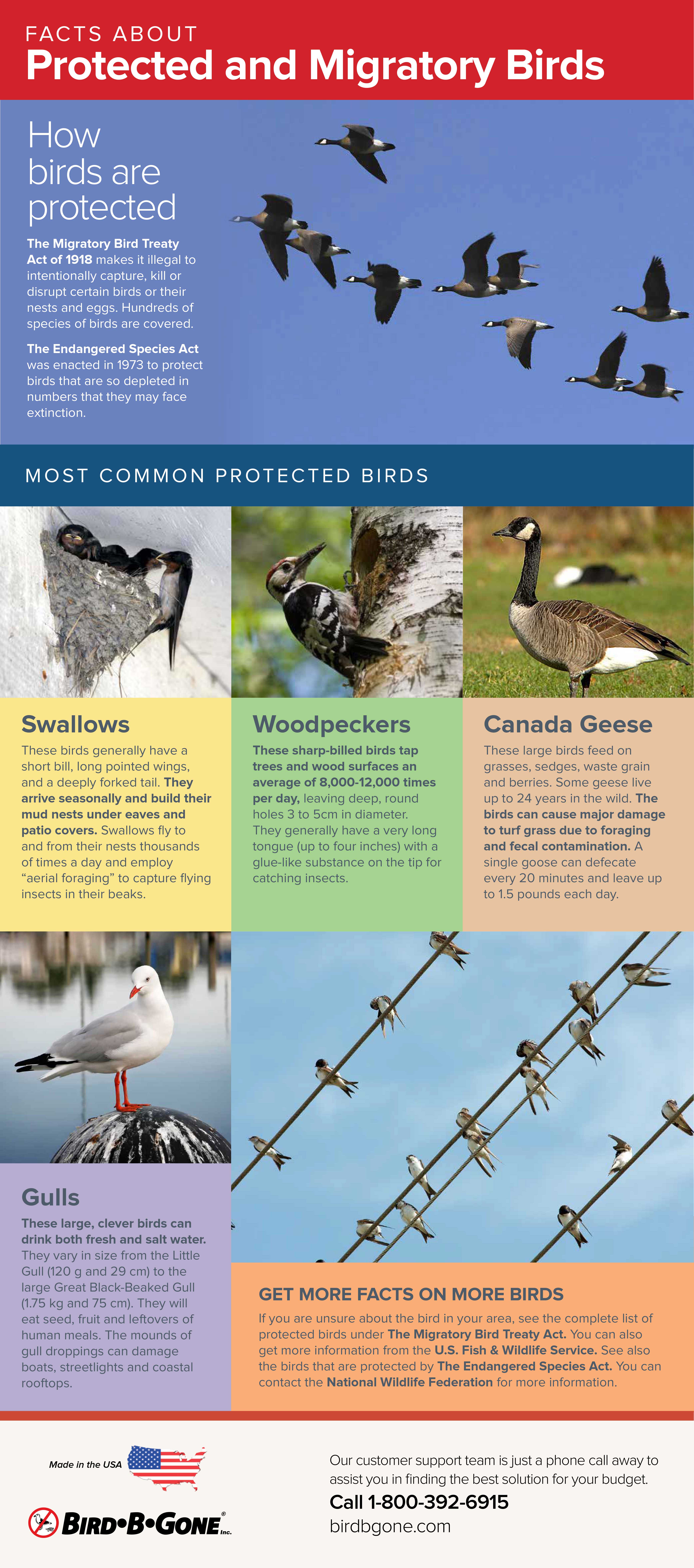 research papers on migratory birds