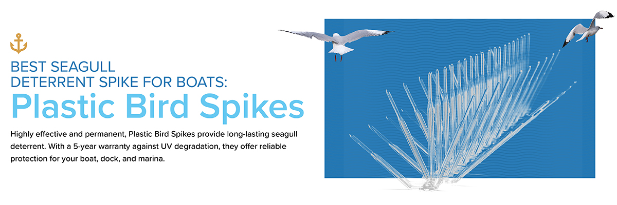 Plastic Bird Spikes