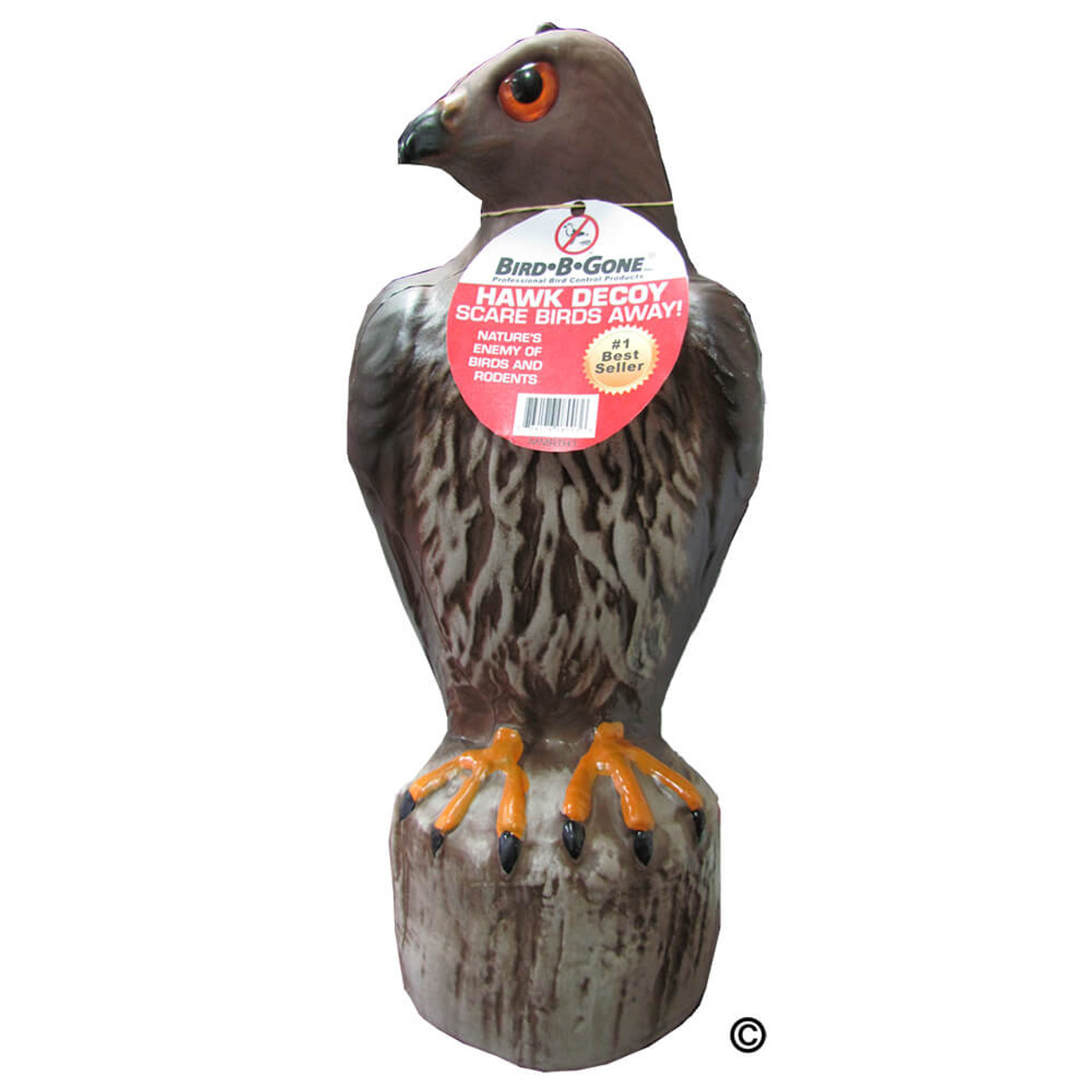 Hawk Bird deterrents