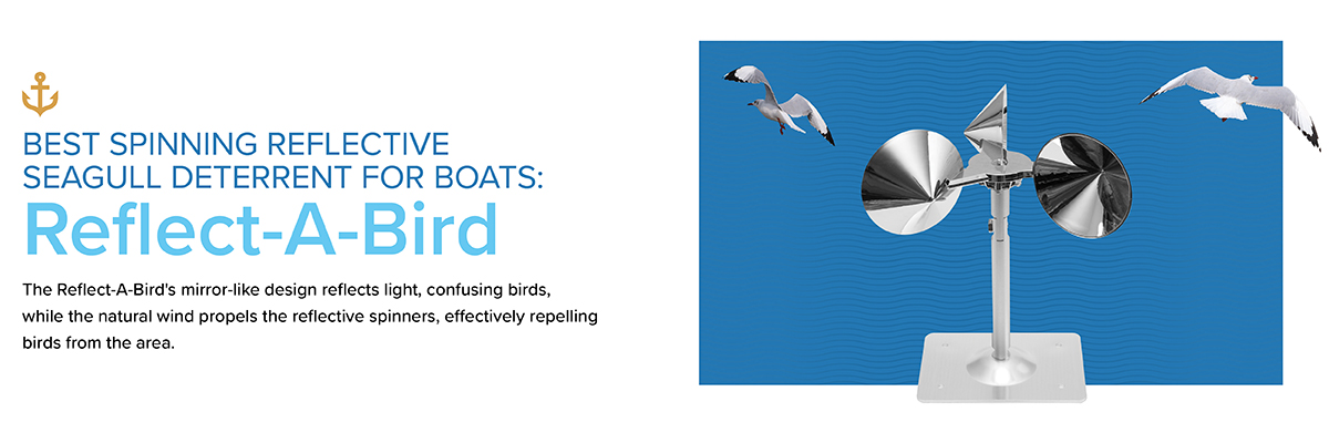 5 Best Seagull Deterrent for Boats - Bird B Gone LLC